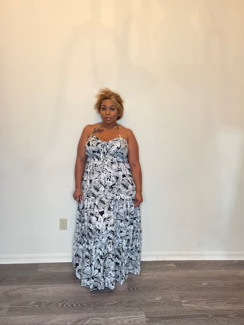 Zebra-ish